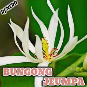 BUNGONG JEUMPA DISCO