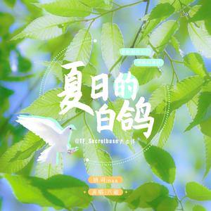 夏日的白鸽