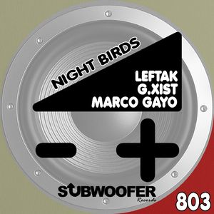 Nachtvogel