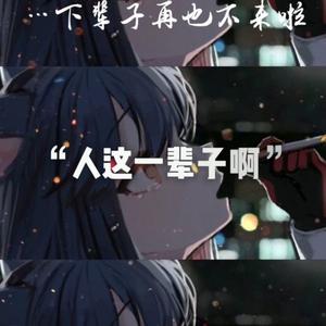 下辈子，不来了