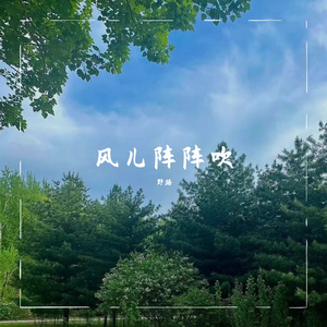 风儿阵阵吹