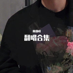 不得不爱（翻自 潘玮柏/弦子）