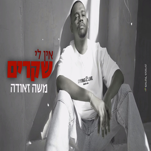 אין לי שקרים