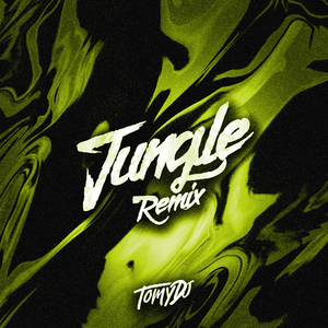 JUNGLE (Remix)