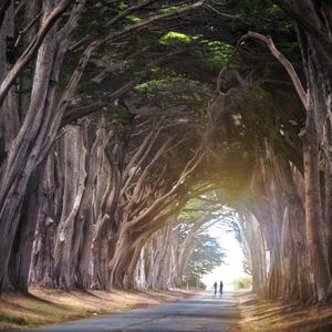 小河淌水 (葫芦丝经典纯音乐)