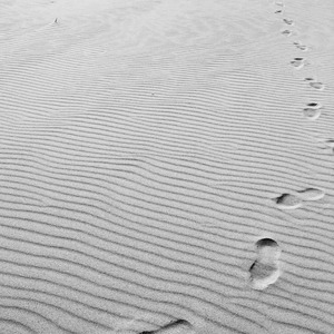 グッドミュージック