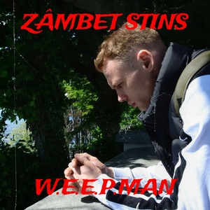 Zâmbet Stins