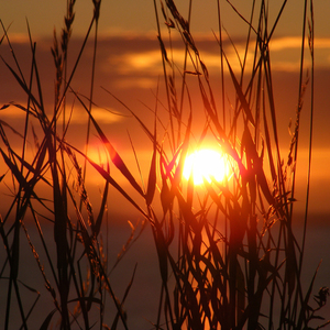 잠 잘오는 음악