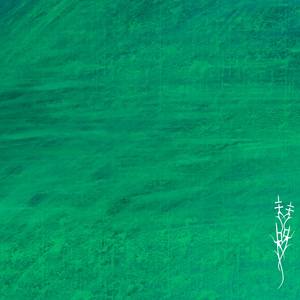 羊，白猫与蓝色兔子