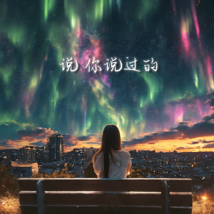说，你说过的