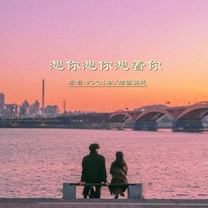 想你想你想着你DJ (对唱版伴奏)