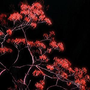 chess (feat. familypet)