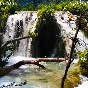 Spring II