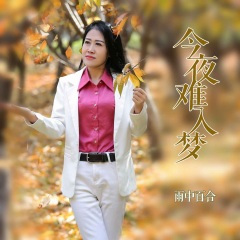 今夜难入梦 (DJ默涵版伴奏)