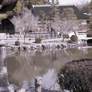 孤独なアイスクリーム。