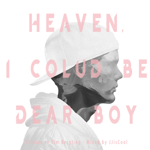 Heaven, I could be Dear Boy(Avicii Tribute Mix)