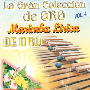 Novillero