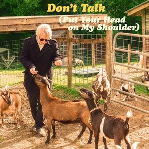 Don't Talk (Put Your Head on My Shoulder) (Cover)