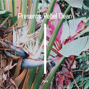 Presents Rebel  Dean