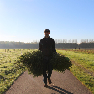 Ik Zou Wel Willen Dat Het Kerst Was