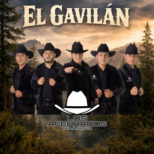 El Gavilán