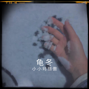 龟冬