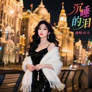 沉睡的泪（DJ版）
