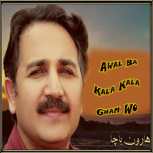 Da Zama Zra Ka Tasweer