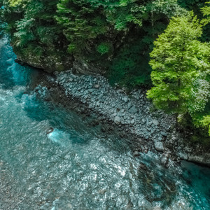 Cantata of Aquatic Bliss