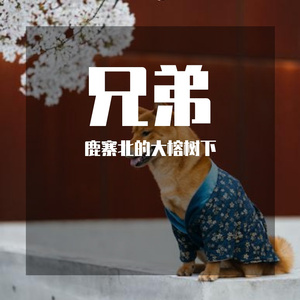 兄弟(Prod. By AllenJ)