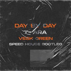 T-ara - DAY BY DAY （VESK GREEN 青菜 Bootleg)
