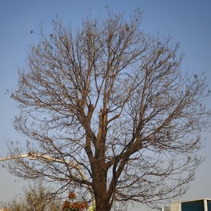 春日晚风与月光之韵