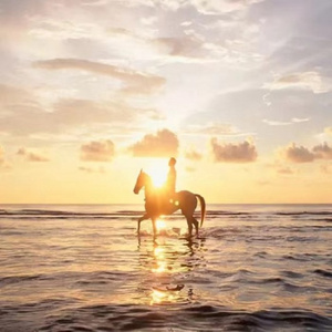 真的爱着你 (明慧版)