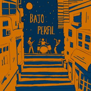 Bajo perfil