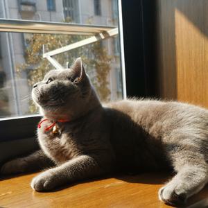 余佳运-我想（KIllAgì remix）