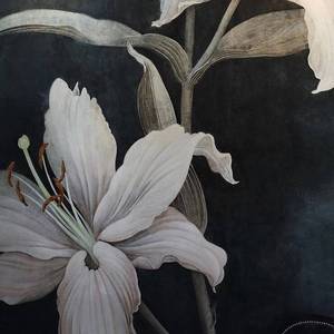 清理门户Freestyle