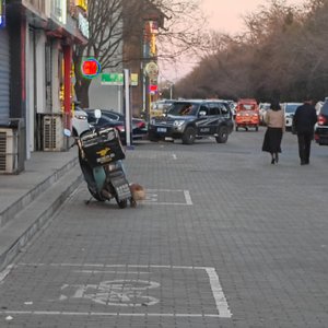 本地话(实验性质)Freestyle