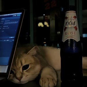 自己挣来的底气