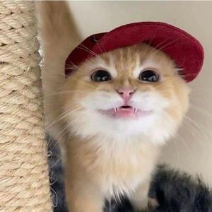 tell me how (feat. Retroz)