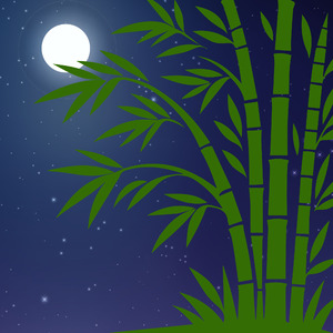 Moonlit Bamboo Grove（竹林の月明かり）