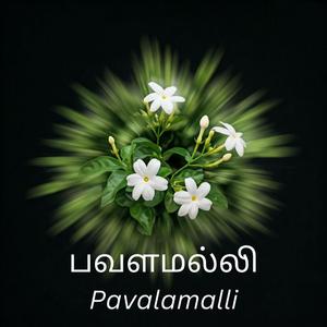 பவளமல்லி (Pavalamalli)