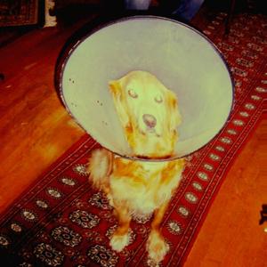 Great Abysmus of Dread