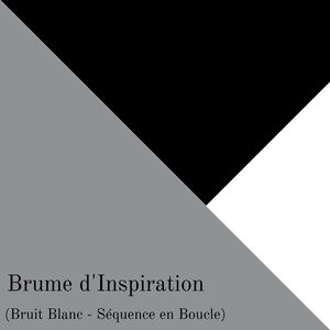 Vibrations Mentales (Bruit Blanc - Séquence en Boucle)