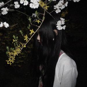 鱗片