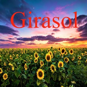 Girasol