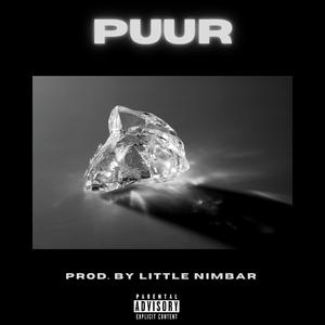 PUUR (feat. TFD)