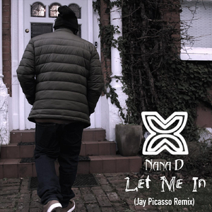 Let Me In (Jay Picasso Remix)