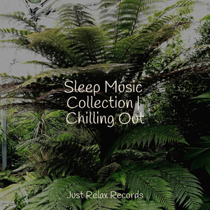 Harmonious Inspiration Dance