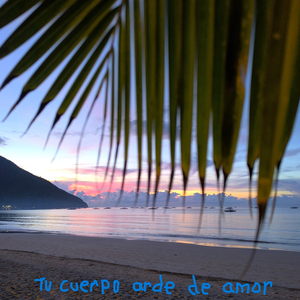 Tu Cuerpo Arde De Amor