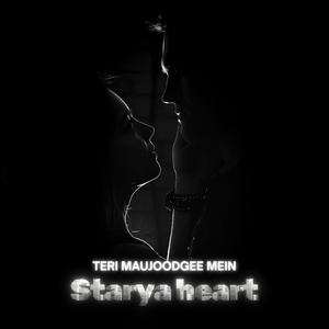 Teri Maujoodgee Mein
